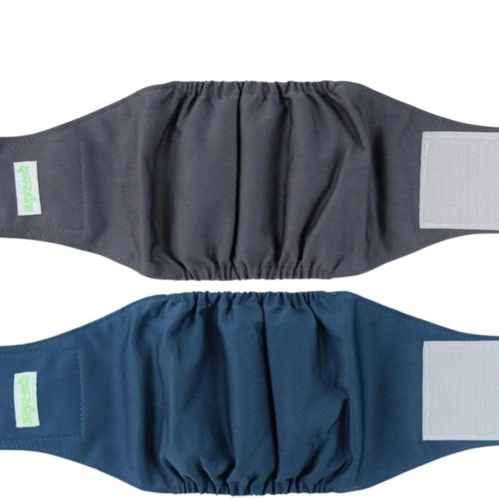 Wegreeco washable male belly band-medium